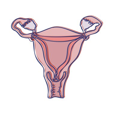 Rahmin minimalist renkli bir çizimi. Çıkartma ya da poster. Tasarım ögesi, vektör.