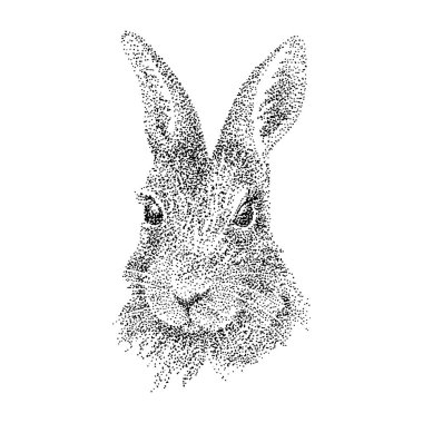 Noktalı bir tavşan kafası çizmek. Pointelizm tekniği. Siyah beyaz illüstrasyon