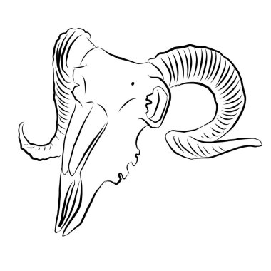 Koç kafatasının doğrusal çizimi. Vektör illüstrasyonu, logo