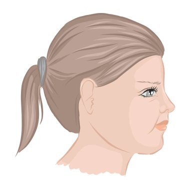 Saçları at kuyruklu bir kızın profili. Vektör illüstrasyonu