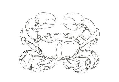 Yengeç çizimi, aralıksız çizgi sanatı, vektör illüstrasyonu