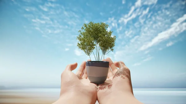 Small tree on hand of human with sea and sky in background.3D conceptual for protection and safe the world with 3d rendering.