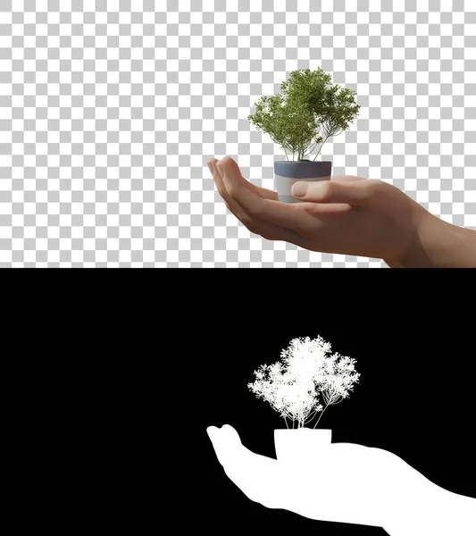 Small tree in the hand of human in side view with 3d rendering include alpha.
