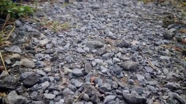 石の道でのカメラトラッキング 路上でのカメラランニングビュー — ストック動画