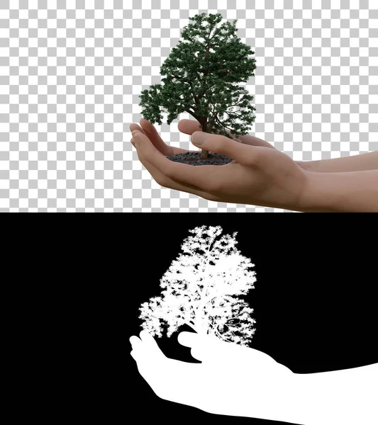 Tree growth on human hand realistiic with 3d rendering on side view include alpha matte.