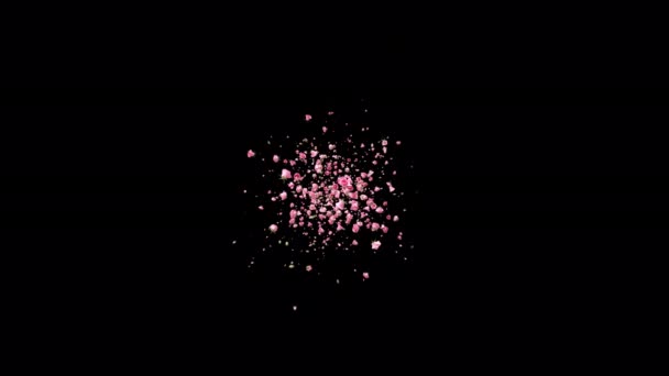 爆発ピンクのバラの花と3次元レンダリングとカメラに飛んで花弁はアルファマットが含まれています — ストック動画