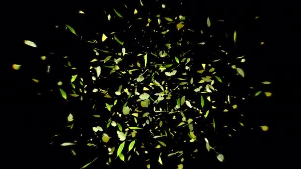 Leaf Explosion Flying Camera Animation Floating Leaf Rendering Include Alpha — Video Stock