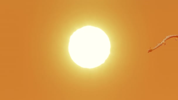 Złoty Chiński Smok Latający Niebie Słońce Tle Rendering Heat Efekt — Wideo stockowe