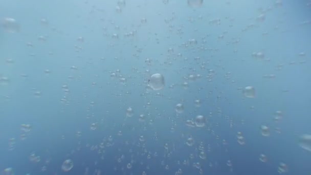 Loop Animation Random Bubble Floating Camera Flare Overlay Transition Blue — Stock Video