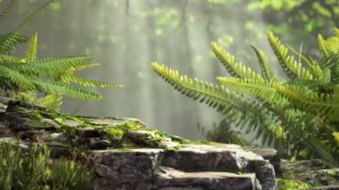 3D animation and rendering podium stage rock in the forest.Natural wind blows the leaves of moss and fern plants.