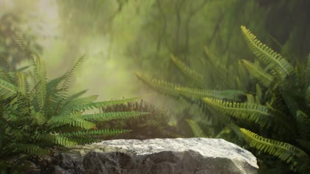 Rendering Podium Stand Big Rock Jungle Tree Animation Natural Podium — Wideo stockowe