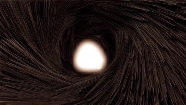 3Dアニメーションカメラは トンネル毛皮の中にねじれを移動し 最後に光に行きます — ストック動画