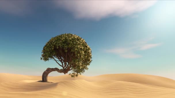 太陽と空の光できれいな砂漠の大きな木に移動するカメラ3Dアニメーションと自然現実的なシーンの概念のレンダリング — ストック動画