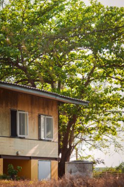 Tayland 'ın doğal ışık alan antik evinin yan görüntüsü.