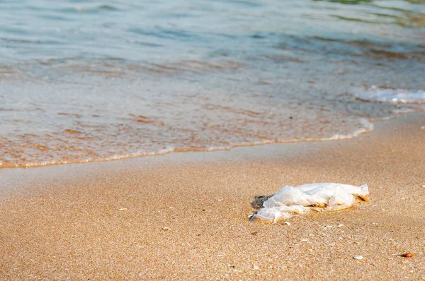 Tayland Deniz Kıyısındaki Plajdaki Plastik Torba — Stok fotoğraf