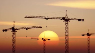 3D canlandırma vinç silueti kuş sürüsü uçuşuyor ve arka planda gün doğumu.