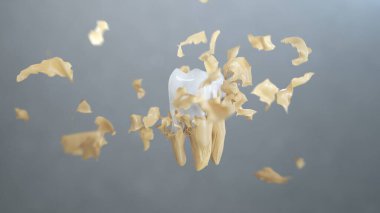 3D parçacık plaketi dişin üstünü kapamak için uçuyor..
