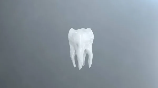 Renderowania Całego Ciała Doskonały Czysty Ząb — Zdjęcie stockowe