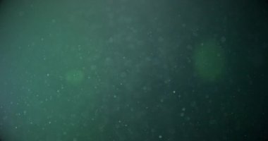 Toz kürelerinin 3 boyutlu görüntülenmesi, havada rastgele yavaş çekim parçacıkları ve yakın çekim kamera görüntüsü.