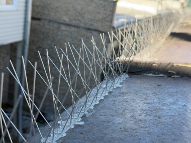 Kuşların yuvalanmasını önlemek için çatıya yerleştirilen kuş caydırıcı çivilerin yakın plan görüntüsü.