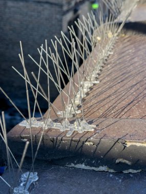 Protective metal spikes installed on an urban building ledge to prevent bird nesting, highlighted against a cityscape background. clipart