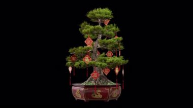 3D görüntüleme, geleneksel Çin kırmızı süslemeleri ve zenginlik ve şans sembolleriyle süslenmiş bonsai ağacı klipsinin etrafında dönerek süslü bir kaba yerleştirilir. Alfa mat için siyah ve beyaz mat içerir.