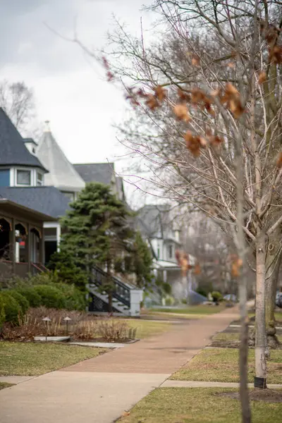 Büyüleyici evlerin ve yapraksız ağaçların yer aldığı, ilkbaharın başlarında mahallenin sakinliğini ve karakterini yansıtan kentsel yerleşim yerinin güzel manzarası.
