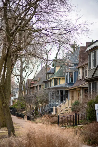 Şikago 'da büyüleyici evler ve yapraksız ağaçların yer aldığı güzel bir yerleşim yeri manzarası, bahar başlarında mahallenin atmosferinin huzurunu ve karakterini yansıtıyor..