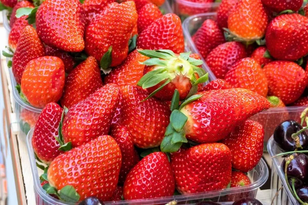 Plucked from Nature's Bounty: Delicious Organic Strawberries