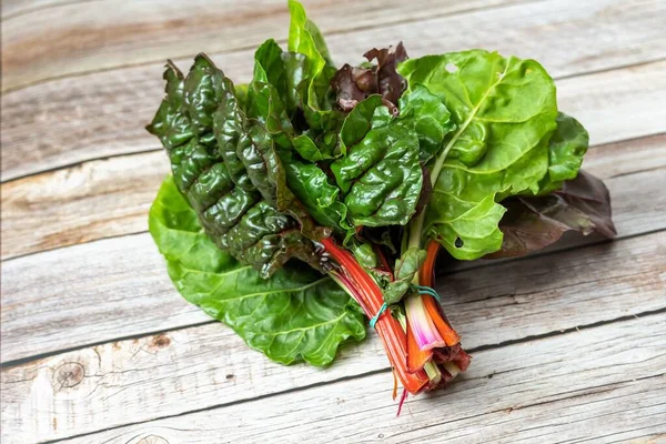 Organically grown red chard. Copy space