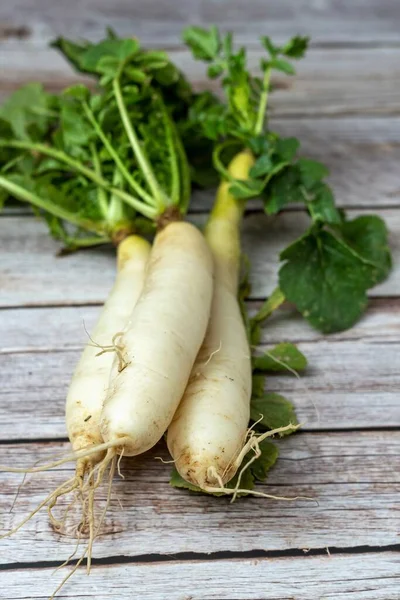 White Turnip Organic Farming Freshness Health Root Vegetable — Zdjęcie stockowe