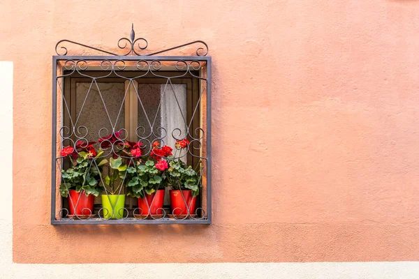 Živý Červený Dům Zdobený Dekorativními Mřížemi Kvetoucími Rostlinami Hrdě Stojí — Stock fotografie