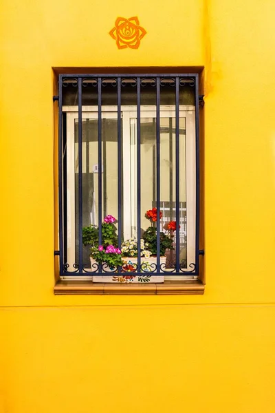 Елегантна Будівля Яскраво Жовтим Зовнішнім Виглядом Пишними Квітучими Рослинами Вікнах — стокове фото