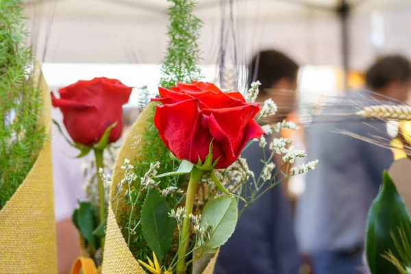Red rose with an ear of wheat, Sant Jordi celebration on April 23rd in Catalonia, Spain.