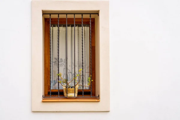 Drewniane Okno Doniczkami Balustradami Białej Fasadzie — Zdjęcie stockowe