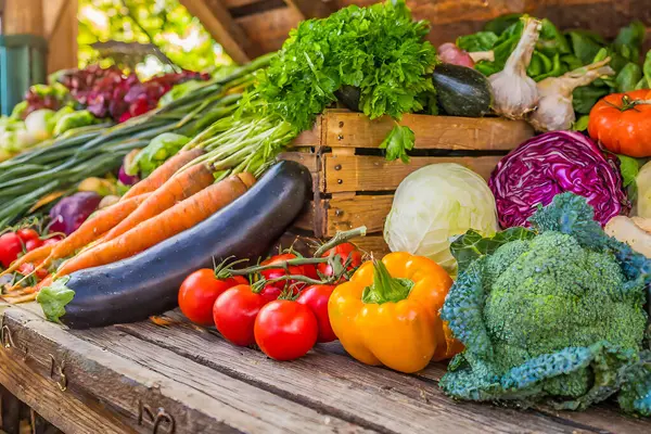 시장에서 신선한 유기농 야채의 다채로운 디스플레이 로열티 프리 스톡 이미지