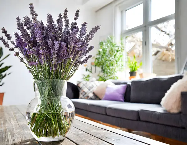 A vibrant bouquet of lavender in a clear vase, illuminating a cozy, well-lit living room.