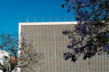 Modern bir cephenin düz çizgileri ve kentsel bir ortamda çiçeklerin doğal rengi arasındaki etkileşim, Blooming Jacarandas. Badalona, İspanya