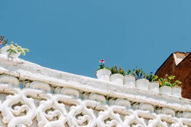 Berrak Mavi Gökyüzü Altında Barok Biçimli Balo Çiçeği Bitkileri