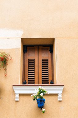 Charming Rustic Window on a Textured Beige Wall with Floral Accents clipart