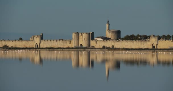 Aigues Mortes Οχυρωμένη Πόλη Στο Camargue Occitan Στη Γαλλία — Αρχείο Βίντεο