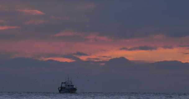 Rybářské Lodě Vracející Přístavu Při Západu Slunce Francie — Stock video