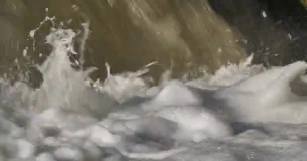 Rio Selvagem Fresco Salpicos Água — Vídeo de Stock