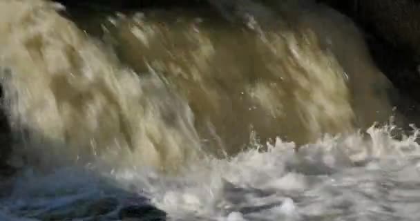 Rio Selvagem Fresco Salpicos Água — Vídeo de Stock