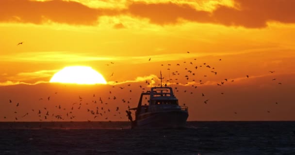 Puesta Sol Sobre Mar Mediterráneo Francia — Vídeo de stock
