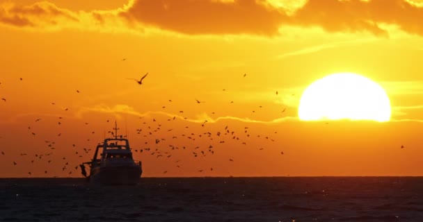 Západ Slunce Nad Středozemním Mořem Francii — Stock video