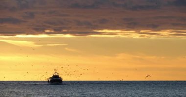 Gün batımında limana dönen balıkçı tekneleri, Fransa