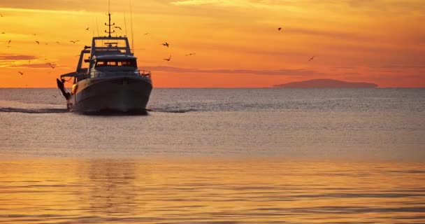 Fiskebåter Som Kommer Tilbake Til Havnen Ved Solnedgang Frankrike – stockvideo