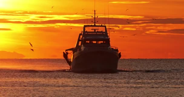 Fischerboote Kehren Bei Sonnenuntergang Den Hafen Zurück Frankreich — Stockvideo