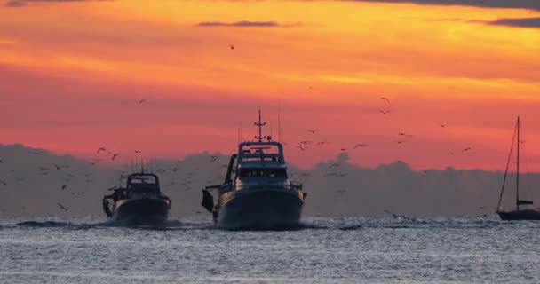 Fishing Boats Coming Back Harbour Sunset France — Stockvideo